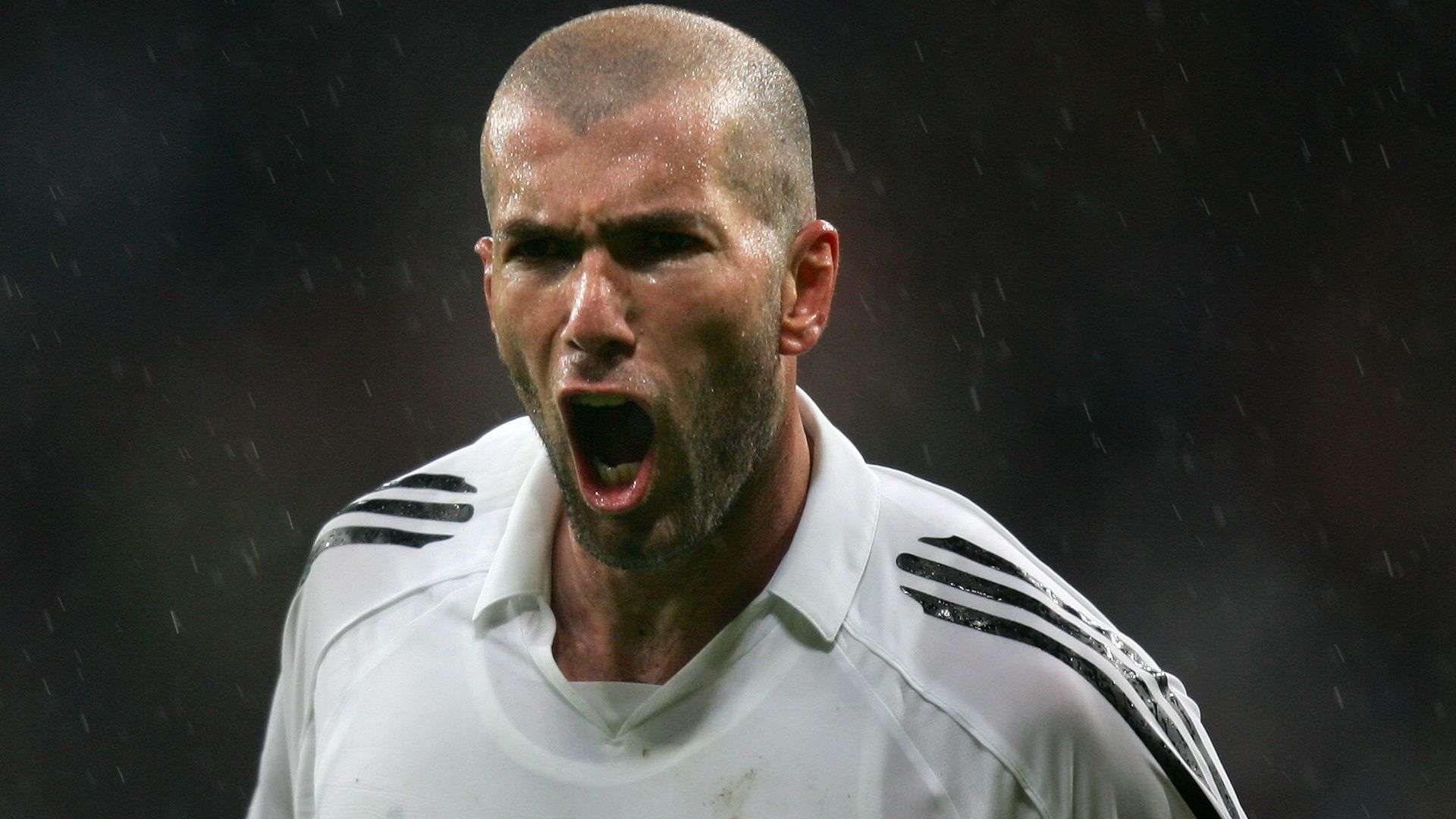 安的高效进 安的高效进